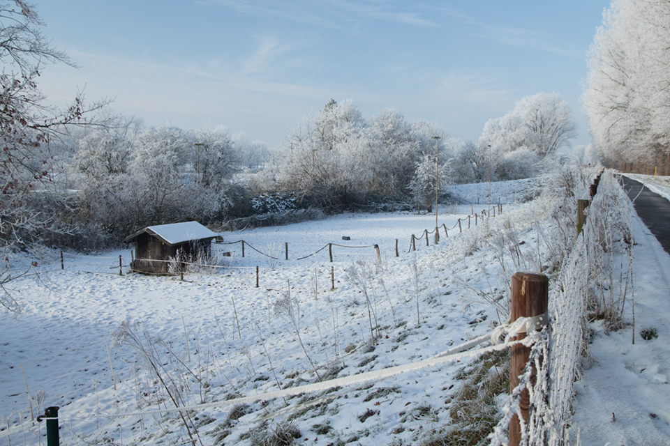 20160122-Winter-Heppenser-Deich_Webseite-Beitrag
