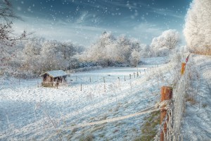 20160122-winter-heppenser-deich_webseite-beitragf