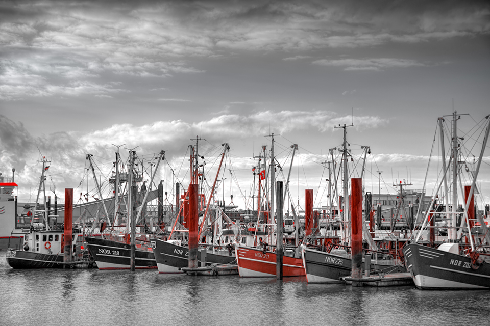 20160308-Hafen-Norden-Color-Key_Webseite-Beitrag
