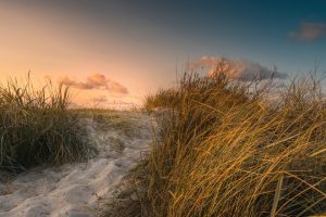 Der Sommer 2018 am Meer 20180831-dsc04506-1