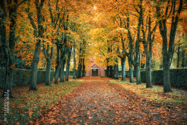 113-wilhelmshaven-parks-und-gruenanlagen-28-10-2023-r-ganske-_webgalerie