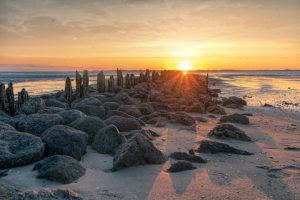 20190910-dsc04100-1-kopie_blog