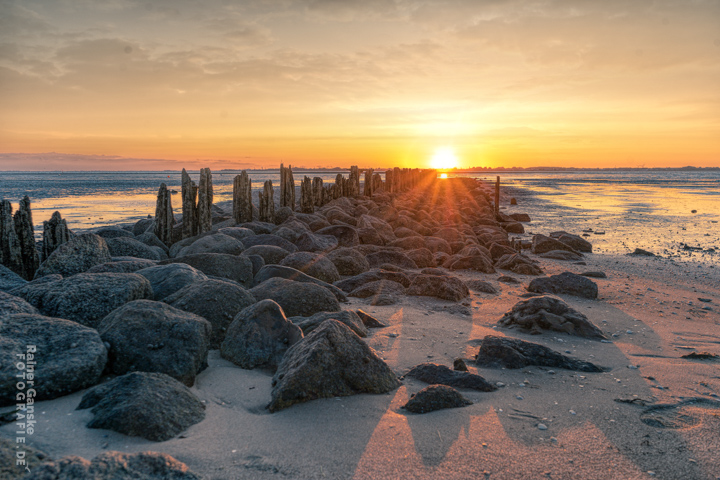 002-eckwarderhoerne-10-09-2019-r-ganske-_webgalerie