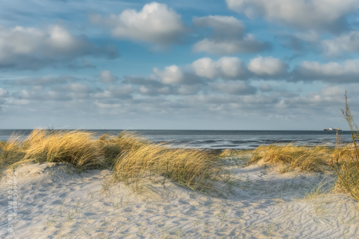 030-schillig-23-04-2021-r-ganske-_webgalerie