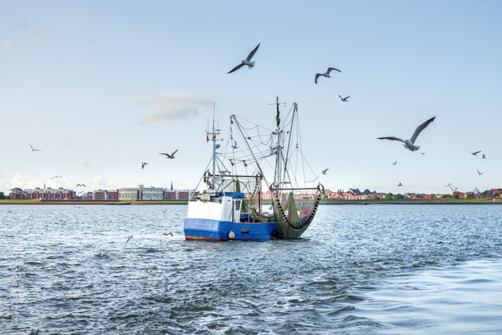 069-wilhelmshaven-sonstiges-am-wasser-09-09-2019-r-ganske-_webgalerie