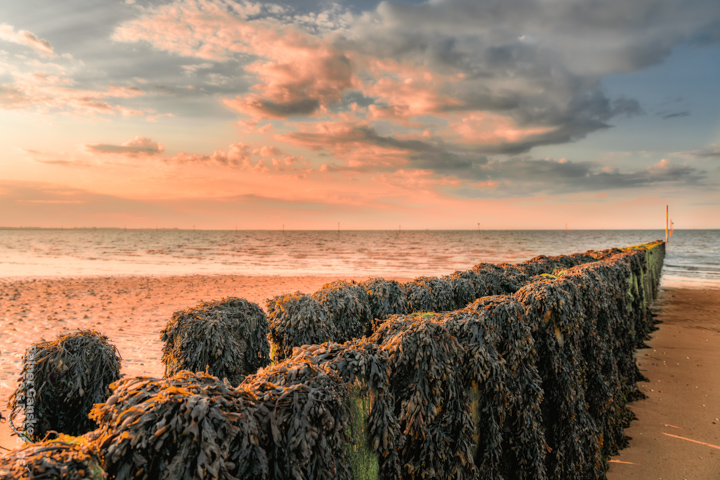 150-hooksiel-strand-15-06-2023-r-ganske-_webgalerie