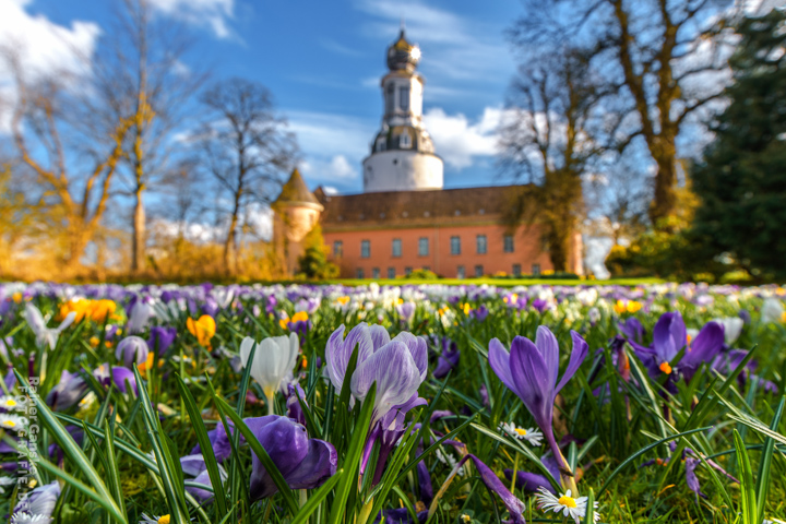 017-jever-schloss-11-03-2020-r-ganske-_webgalerie