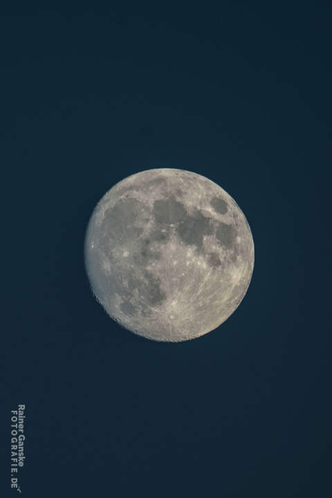 003-astrofotografie-25-11-2023-r-ganske-_webgalerie