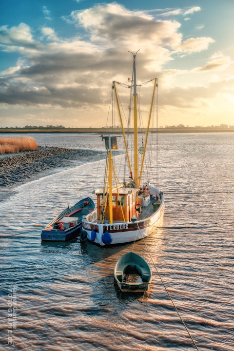 Terborg Kutter Diana