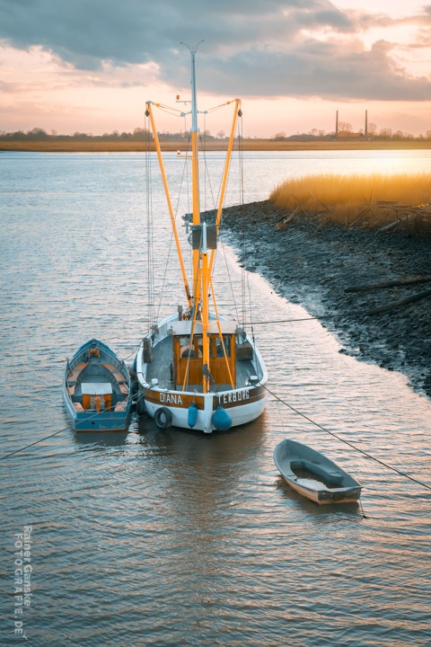 Terborg Kutter Diana