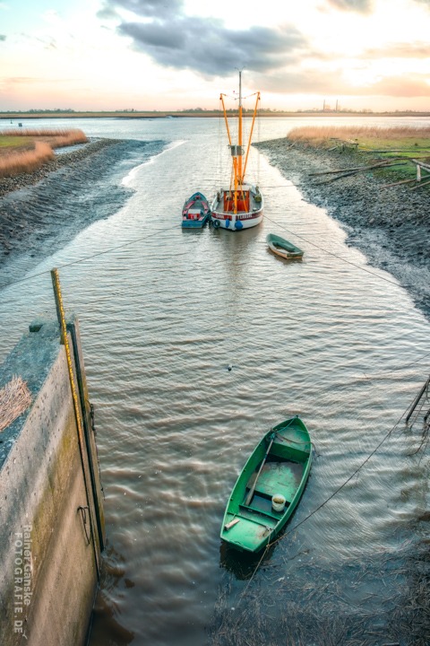 Terborg Kutter Diana
