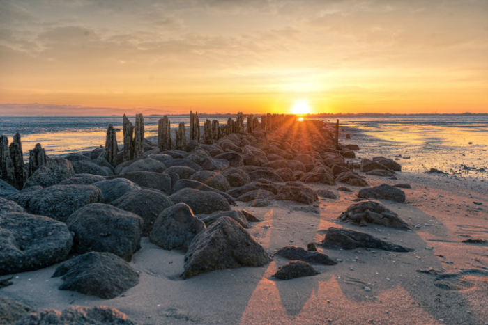 20190910-dsc04100-1-kopie_blog